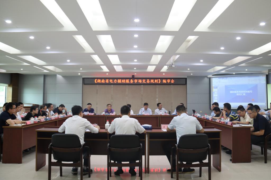 《湖南省电力辅助服务市场交易规则》编审会在株洲航电分公司召开
